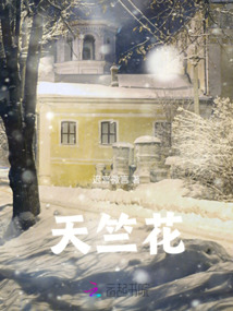 天竺花