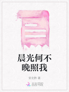 晨光何不晚照我在线阅读
