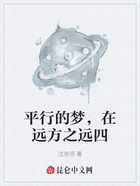 平行的梦,在远方之远四在线阅读