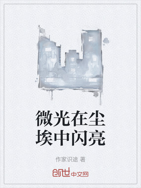 微光在尘埃中闪亮在线阅读