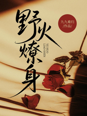 野火燎身在线阅读