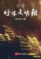 老婆,好像是明朝在线阅读