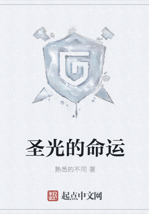 圣光的命運
