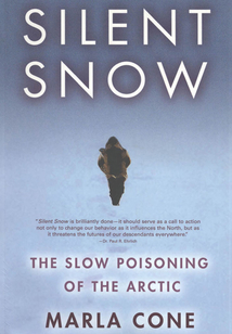 Silent Snow