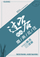 過客，你的南來北往在線閱讀