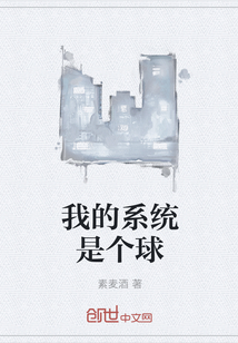 我的系统是个球