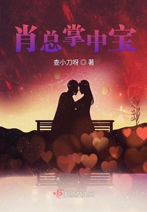肖總掌中寶