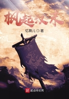 枫起汉末在线阅读