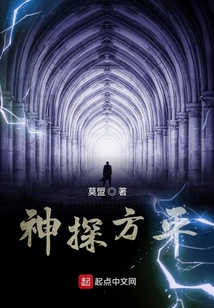 神探宋天