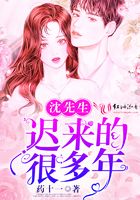 沈先生迟来的很多年