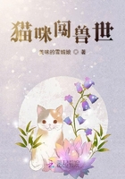 猫的异世界生活