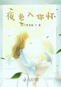 夜色入你懷