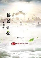 崛起从撸猫开始
