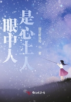 眼中人是心上人在线阅读