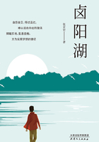 卤阳湖在线阅读