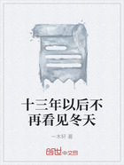 十三年以后不再看见冬天在线阅读