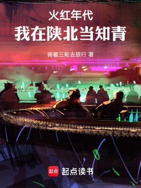 火红年代,我在陕北当知青在线阅读