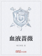 血液蔷薇在线阅读