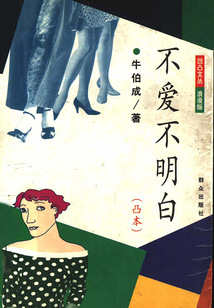不愛不明白·凸本（凹凸文叢）