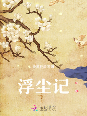 浮尘记在线阅读