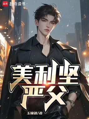 美利坚严父在线阅读
