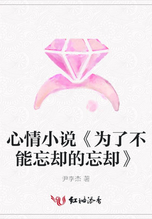 心情小说《为了不能忘却的忘却》