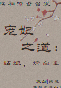 寵妃之道：姑娘請(qǐng)自重