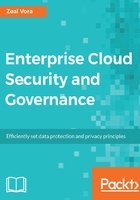 Enterprise Cloud Security and Governance