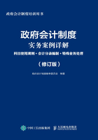 政府会计制度实务案例详解：科目使用规则+会计分录编制+特殊业务处理（修订版）在线阅读