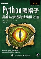 Python黑帽子：黑客与渗透测试编程之道（第2版）