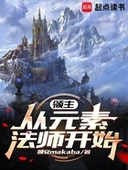 领主:从元素法师开始在线阅读