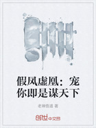 假凤虚凰:宠你即是谋天下在线阅读