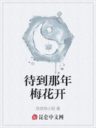 待到那年梅花开在线阅读