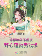 锦瑟年华不虚度,野心蓬勃男欢求在线阅读