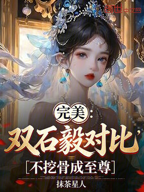 完美：双石毅对比，不挖骨成至尊在线阅读