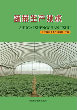 蔬菜生产技术 封面