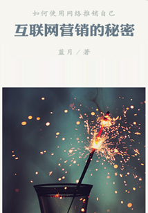 互聯(lián)網(wǎng)營銷的秘密(千種豆瓣高分原創(chuàng)作品·看行業(yè))