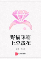 野貓咪霸上總裁花在線閱讀