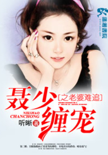 聂少缠宠之老婆难追