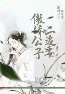 傲娇公子二追妻