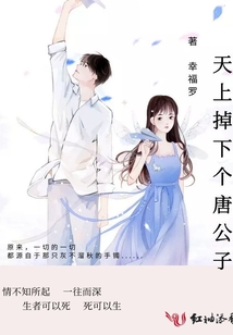 天上掉下個唐公子