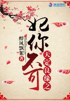 天定良缘之妃你不可
