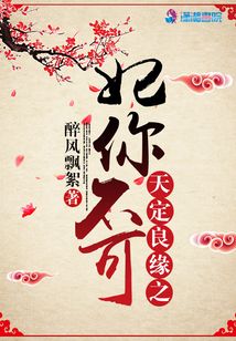 天定良緣之妃你不可