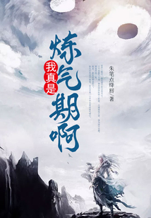 我真是练气期啊！