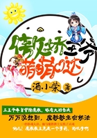 傲娇王爷萌萌哒在线阅读