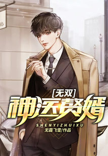 无双神医赘婿
