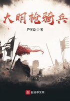 大明槍騎兵在線閱讀