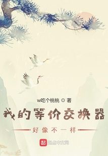 我的等價交換器好像不一樣