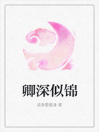 卿深似錦在線閱讀