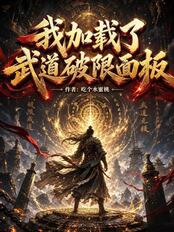 我加载了武道破限面板在线阅读